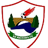 'SD公鹿FC